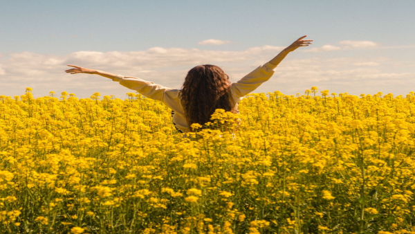 介護職の研修制度でキャリアアップ｜資格取得や専門スキル習得の流れ